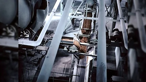 1960s Soybean Grain Food Processing Plant Factory Vintage Industrial Movie Film Video stock 84247598