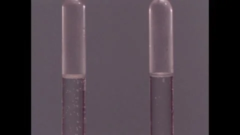 1960s: Test tubes.  Bubbles rise to surface. Stock Footage 257364844