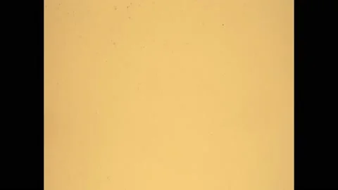 1960s: Tom Thumb removes thimble from head. Pig. Man with egg cracked on his Stock Footage 170835467