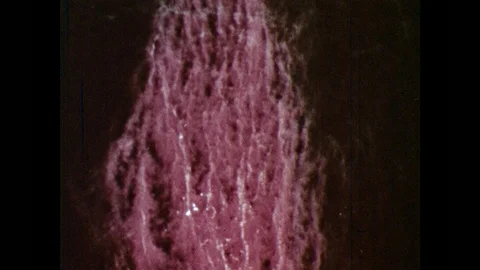 1960s: UNITED STATES: pattern of algae under microscope. Red tide in sea. Marine Stock Footage 97583748