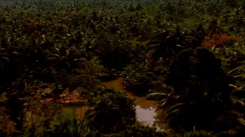 1960s: VIETNAM WAR: aerial over jungle, napalm explosions Stock Footage