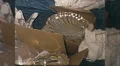 1960s WEDDING Day Gifts on Table Marriage Love Reception Vintage Film Home Movie HD Footage