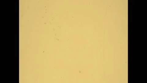1960s: Witch looks out window. Jewels. Mouse with cheese. Tom Thumb speaks to Stock Footage 170835456
