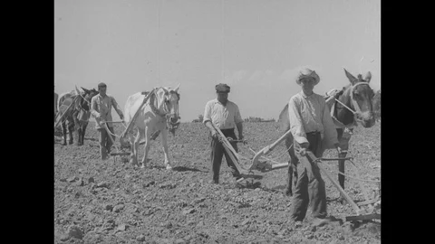 1961-Country Life / Village / Spain / 1961 Stock Footage