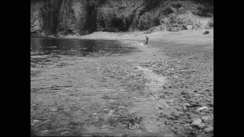 1961 - Fish flop ashore to lay their eggs on the beach in Newfoundland and are Stock Footage 164457849