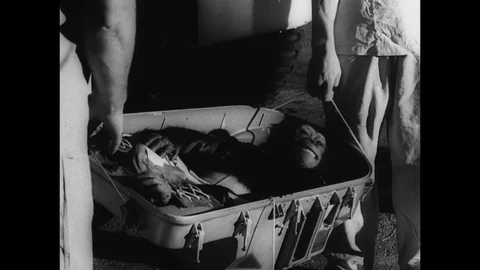 1961-Mercury Project / Ham the Chimp / USA / 1961 Video stock 77973151