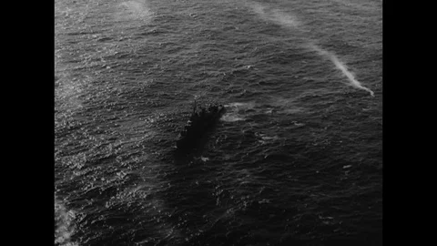 1961-Mercury Project / Ham the Chimp / USA / 1961 Video stock 77973178