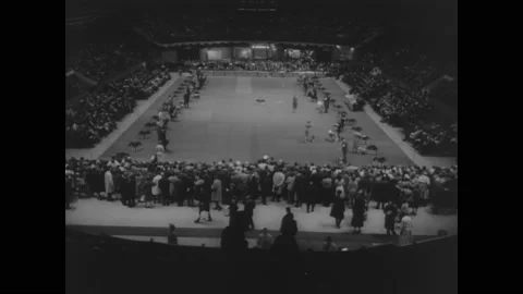 1963 - A springer spaniel wins best in show at the Westminster Kennel Club dog Stock Footage 217362150
