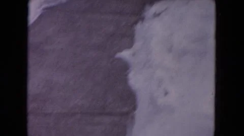 1964: a dog is seen jumping EVANSTON, ILLINOIS Stock Footage