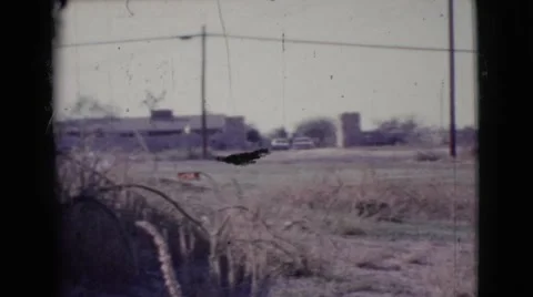 1964: dried grass on the yard of a home with farns all around on a sunny day. Stock Footage