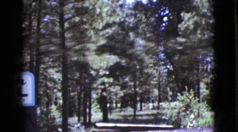 1964: a forest area is seen COTTONWOOD, ARIZONA Stock Footage