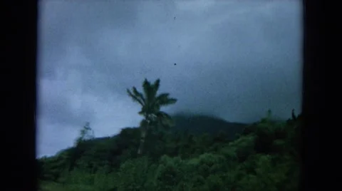 1964: lake, sea, water, yellow, jacket, friends, mens HAWAII Stock Footage