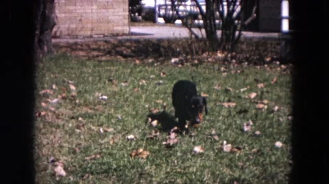 1964: The Mountain, Always the Mountain, Always Green and Big and Sometimes Vídeos de archivo 67933628