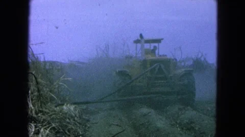 1965: the heavy artillery driver clears a path for grain development MEXICO Stock Footage 68146468