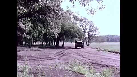1965 - An Honest John surface-to-surface missile is driven to a forested Vídeos de archivo 79531454
