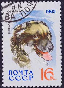 1965 Soviet Union Postage Stamp Featuring Dog Portrait Stock Photos