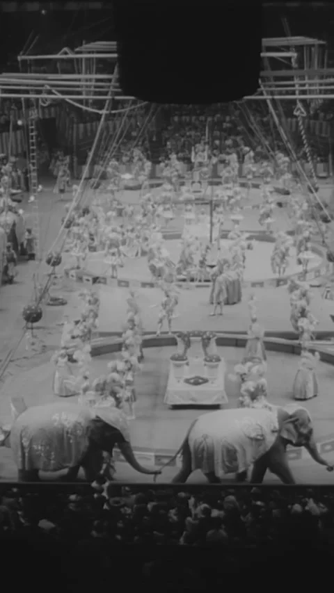 1966 - A couple of circus performers gets married in the middle of a Ringling Stock Footage 287570433