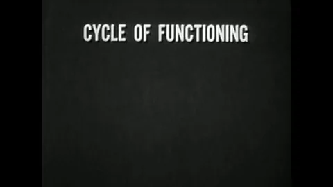 1966 - The first stage of the Cycle of Functioning, Firing, of the XM16E1 Rifle 動画素材 79523635
