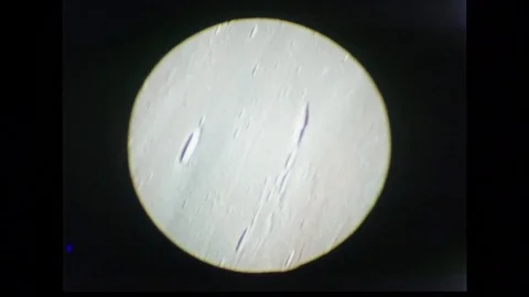 1968-Apollo 8 / NASA / Moon's Surface / 1968 Stock Footage