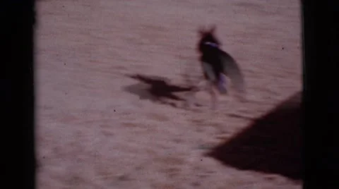 1968: black and white dog playing with a young man wearing t-shirt COTTONWOOD, Stock Footage