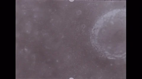 1969-Apollo 10 / NASA / Moon's Surface / 1969 Stock Footage
