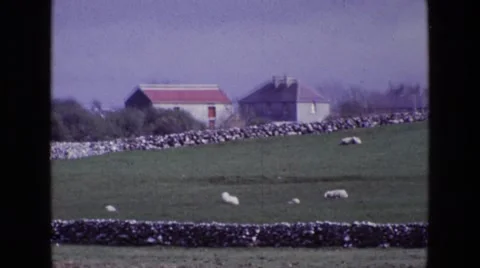 1969: a residential area is seen IRELAND Stock Footage
