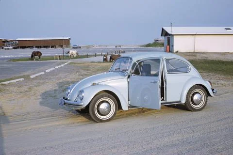 1969 VW bug 스톡 사진