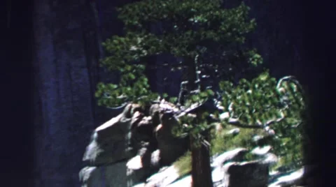 1969: a zoo scene YOSEMITE, CALIFORNIA Stock Footage
