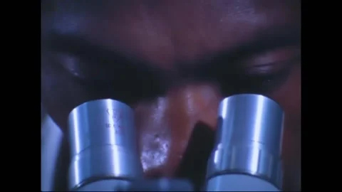 1970 - Entomologist looks through microscope at the 712th Preventive Medicine Stock Footage 226614929