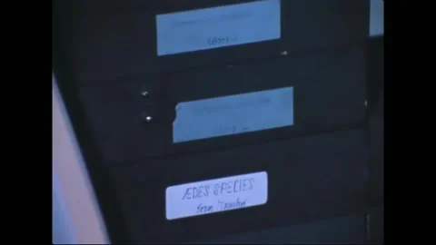 1970 - Labels for insect samples at the 712th Preventive Medicine Unit in Stock Footage 226613555