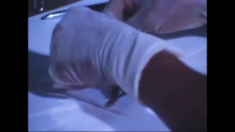 1970 - Rat is pinned down and prepared for dissection at the 712th Preventive Stock-Footage 226847925