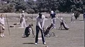 1970s African American Black MAN Golf Course Swing Club Vintage Film Home Movie HD Footage