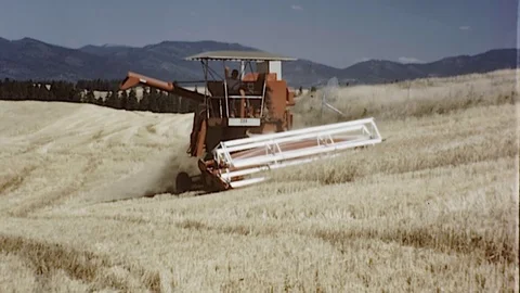 1970s Agribusiness Tractor Soybean Harvest AGRICULTURE Farm Vintage Film Movie Stock Footage