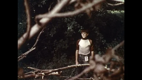 1970s: Boy standing in forest / Bear walking in forest Stock Footage