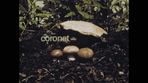 1970s Coronet logo. Toadstool growing in wild. Microscopic view of fungi. Cells Stock Footage 174239532