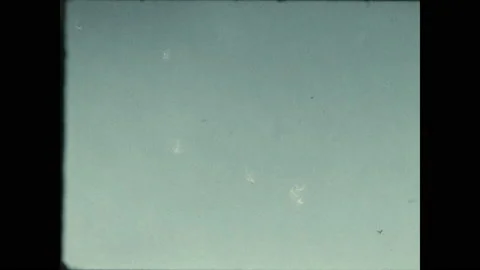 1970s: Dandelion seeds falling. Gorilla in cage, zoom out to scale outside cage, Stock Footage 154701633