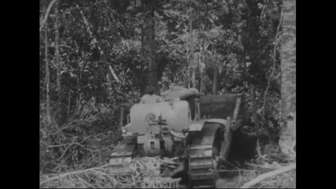 1970s - Deforestation of the Amazon forest and the construction of Brasilia as Stock Footage 125698147