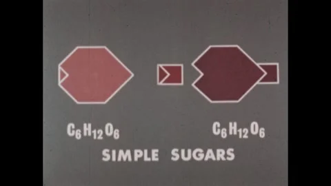 1970s: Drawing of simple sugars. Illustration of simple sugars joining to form 스톡 동영상 254366549