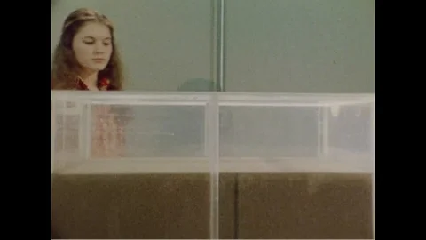 1970s - Earthquake testing in a laboratory by the U.S. Army Corps of Engineers. Stock Footage 124216634