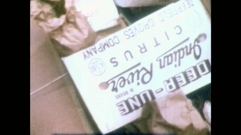 1970s: Garbage dump. Stacks of cardboard and paper. Glass bottle tossed into Video stock 83929709