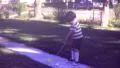 1970s LITTLE BOY Plays Swings Gold Club Golfing Putting Vintage Film Home Movie HD Footage
