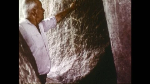 1970s: Man explaining the significance of cave drawings followed by dragonfly 스톡 동영상 74856880