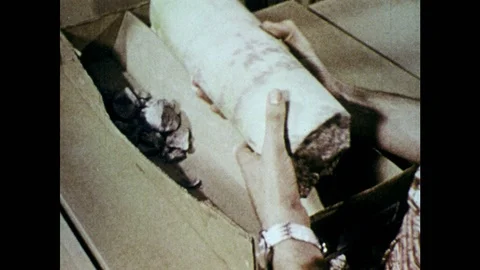1970s: Man removes core sample from box, spins it around in his hands. Man cuts Stock Footage 86810557