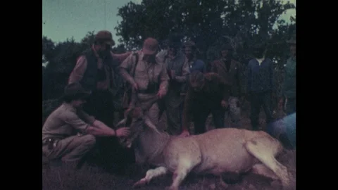 1970s: Men posing with dead antelope, men shake hands. Men get into car, man Stock Footage 102006002
