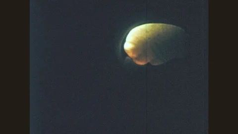 1970s: Model of human brain with lights flashes on and off, the basal ganglia Stock Footage 78376434