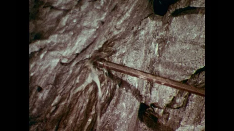 1970s: Pneumatic drill bores into ceiling of mine tunnel. Man presses pneumatic Video stock 97555426
