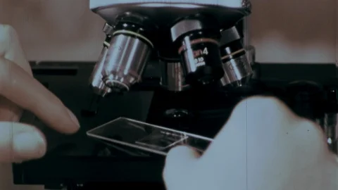 1970s Scientist Using Microscope Amoeba Under Slide Cell Microorganism Biology Видео 88258868
