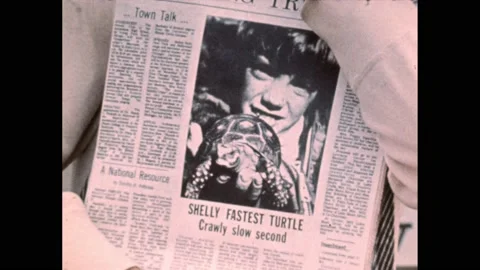 1970s: Shelly Fastest Turtle article in newspaper. Photo of child with tortoise. Stock Footage 189950231
