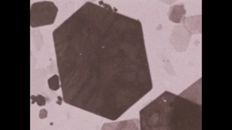 1970s: Slice of rock on microscope slide. Magnification at 0.005 mm. Vídeos de archivo 241459010