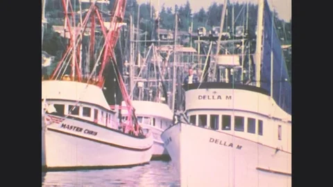 1970s: UNITED STATES: fishing boats in harbour. Lady fishing. Gates in water. Stock Footage